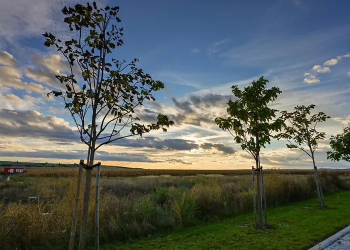 Merlin's Camp Parque de Campismo