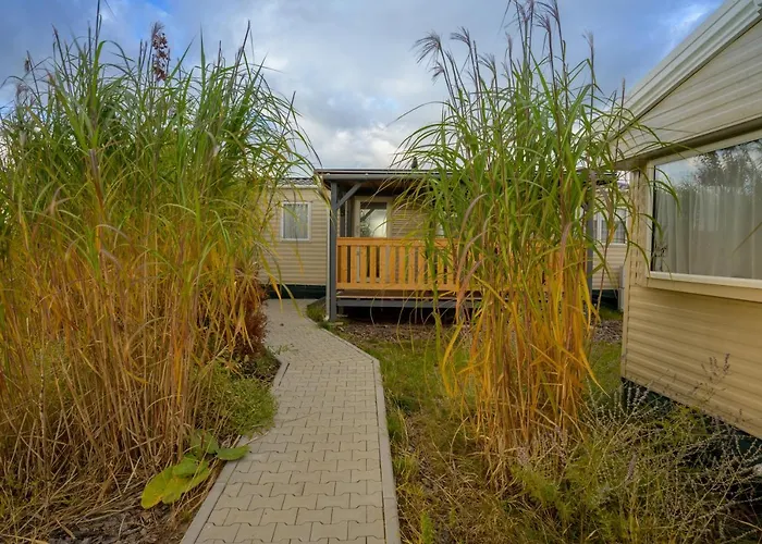 Parque de Campismo Merlin's Camp